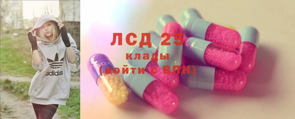 сатива Ахтубинск